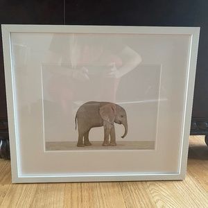 Animal print shop nursery elephant print